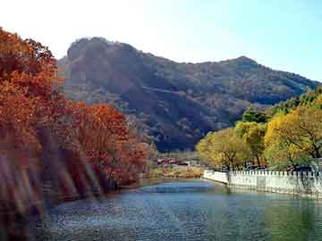 新澳天天开奖资料大全旅游团，体育馆设计规范